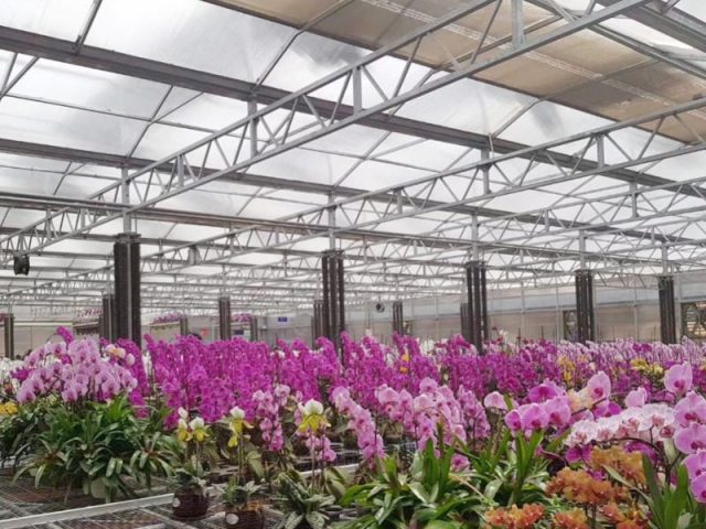 Greenhouses using Xinjincheng sheet