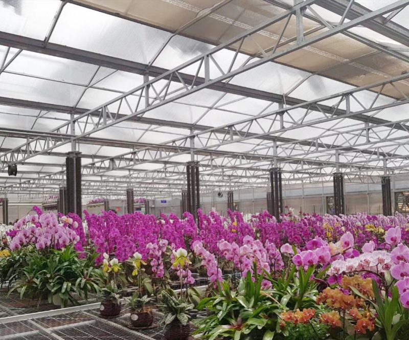 Multiwall polycarbonate greenhouse glazing panels